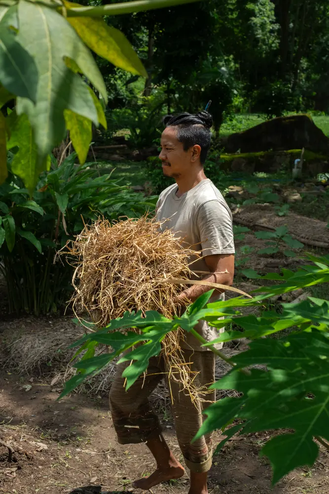 Carrying the harvest on a farm visit