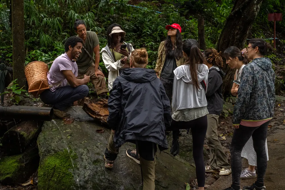 Foraging in the forest with the Food That Nourishes Us track