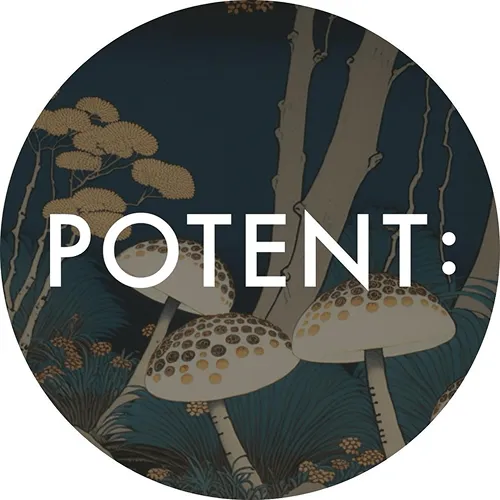 John Ho Coliving Concept founder speaker at Cosmo Local