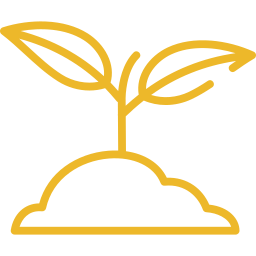 digital nomad in a coworking